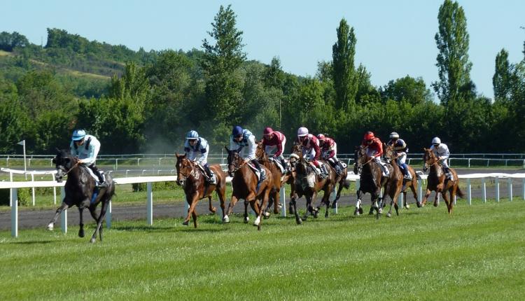 Parier Sur Les Courses De Galop: Comment Gagner Gros Avec Les Paris Hippiques”