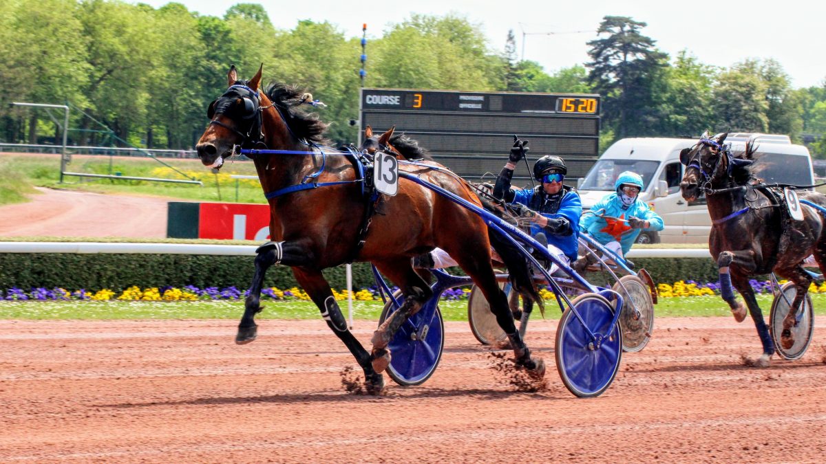 Parier Sur Les Courses Equidia : Les Meilleures Astuces Pour Gagner”