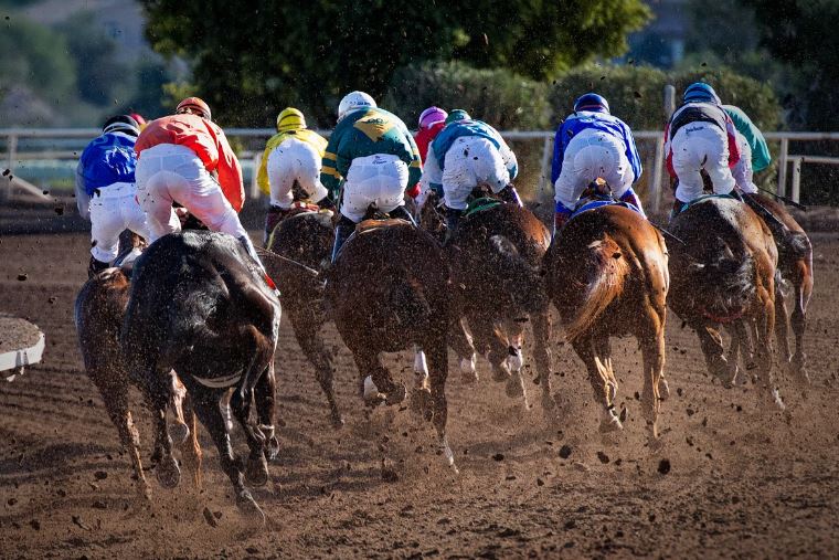 Paris Hippiques Sur Smartphone : Le Guide Complet pour les Amateurs de Courses de Chevaux”